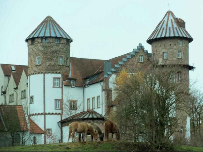 Luxus Appartement Im Schloss Fockelberg Extérieur photo
